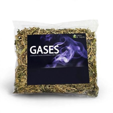 GASES